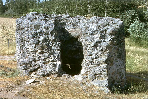 Molino del Río Lobos (restos)