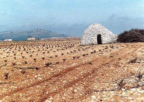 Silo antiguo