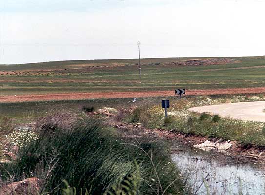 Lago Chico (a)