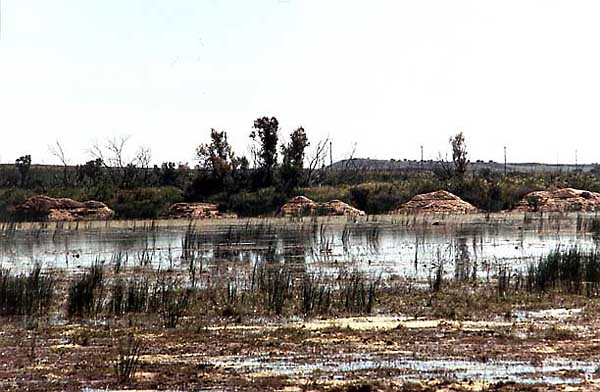 Lago Chico (b)