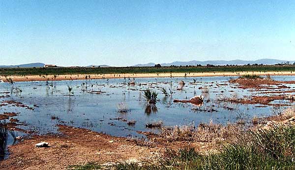 Lago de la Sal (b)