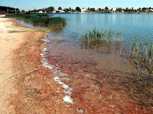 Laguna Grande (a)