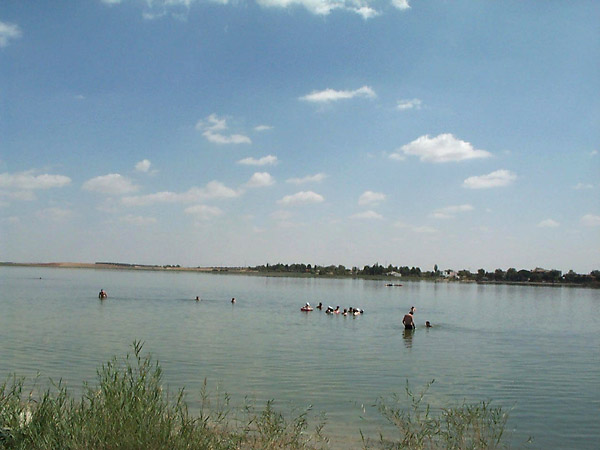 Laguna Grande, aguas salobres