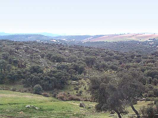 Paisaje de alrededores (a)