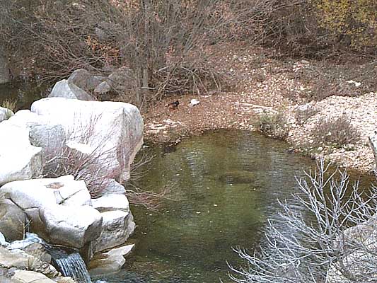 Río Cedena (a)