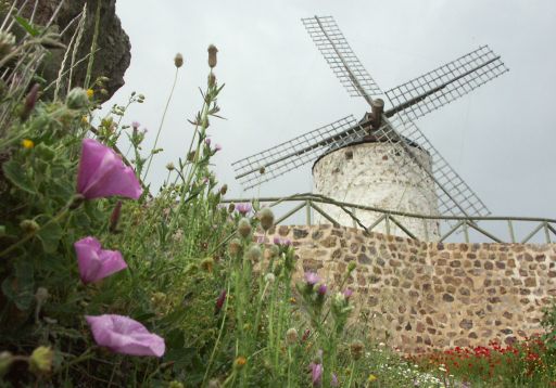 Molino, detalle (a)