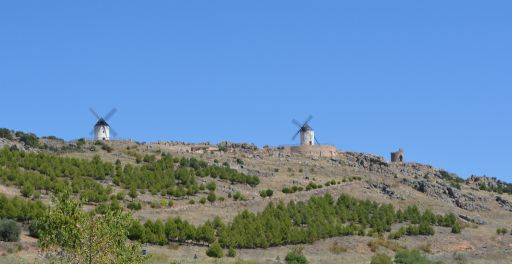 Molinos de viento y la Torrecilla