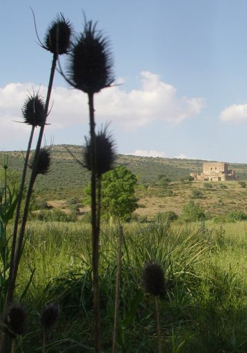 Castillo de Guadalerzas, vista