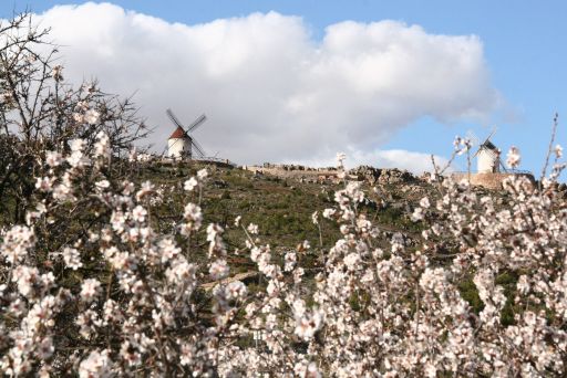 Molinos, panorámica