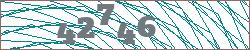 Imagen con captcha