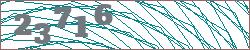 Imagen con captcha
