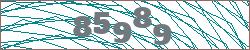 Imagen con captcha