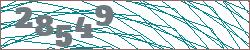 Imagen con captcha