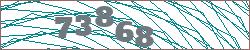 Imagen con captcha