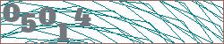 Imagen con captcha