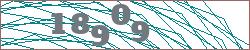 Imagen con captcha