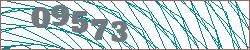 Imagen con captcha