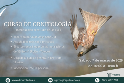 AGRICULTURA, MEDIO AMBIENTE Y MUNDO RURAL