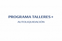 FOMENTO DEL EMPLEO Y DESARROLLO ECONÓMICO