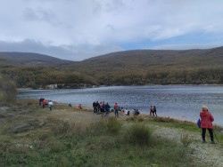 AGRICULTURA, MEDIO AMBIENTE Y MUNDO RURAL
