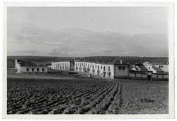 Cobisa. Nuevas viviendas en calle Generalísimo.1958 (P-138 )