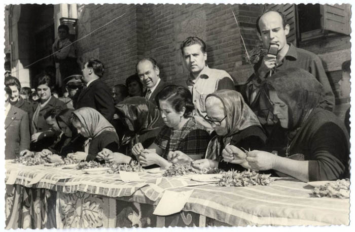 Consuegra. Concurso monda de la rosa del azafrán.1957 (P-178