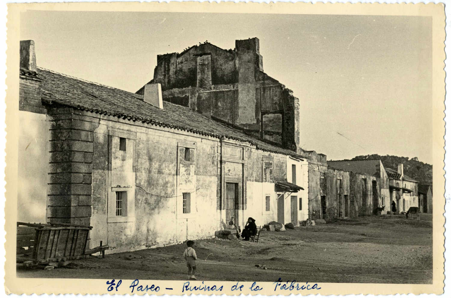 Cervera de los Montes. El Paseo. 1958 (P-129)