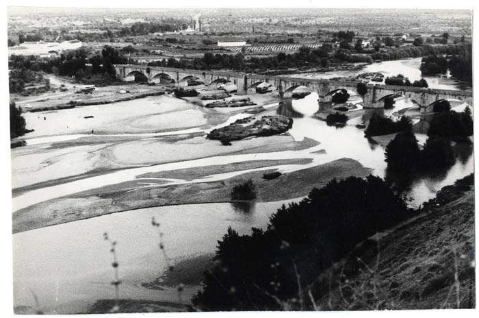Escalona. Vega del rio Alberche. 1966 (P-275)