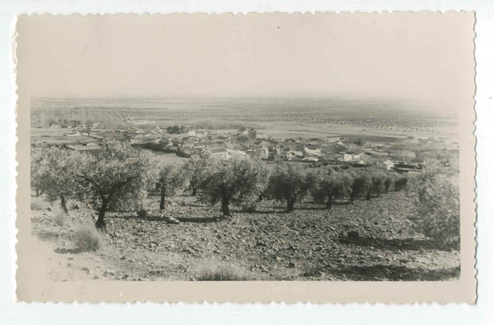 Marjaliza. Vista panorámica entre olivos. 1959 (P-495)