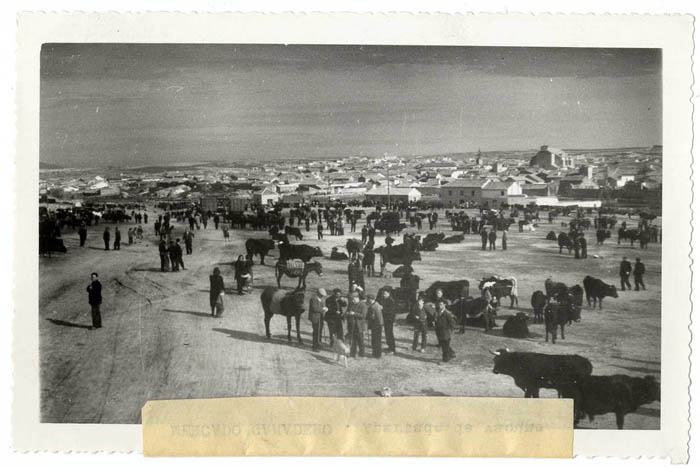 Menasalbas. Mercado de ganado. 1959 (P-2706)