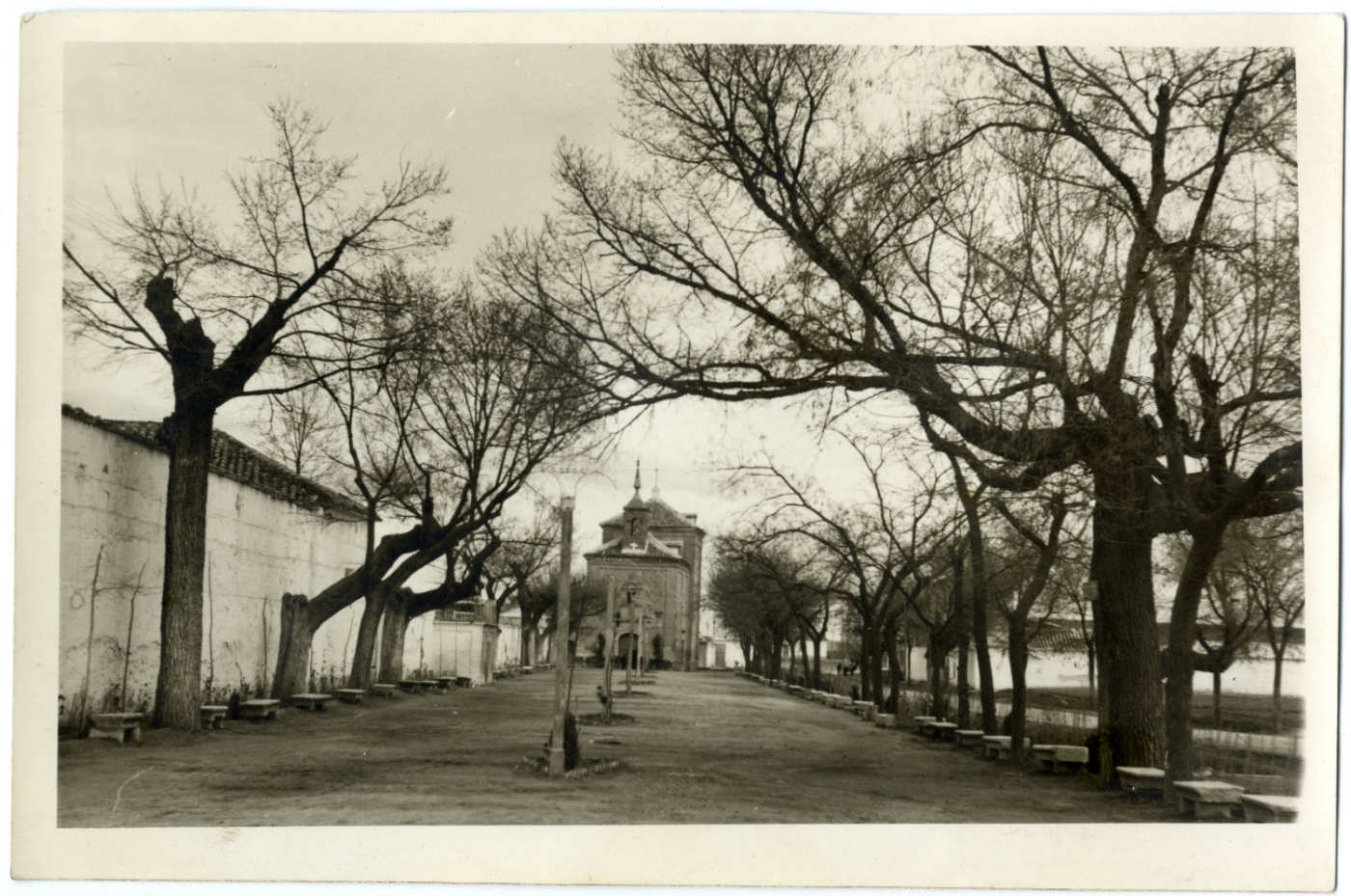 Madridejos. Paseo y ermita del Cristo. 1959 (P-2654)