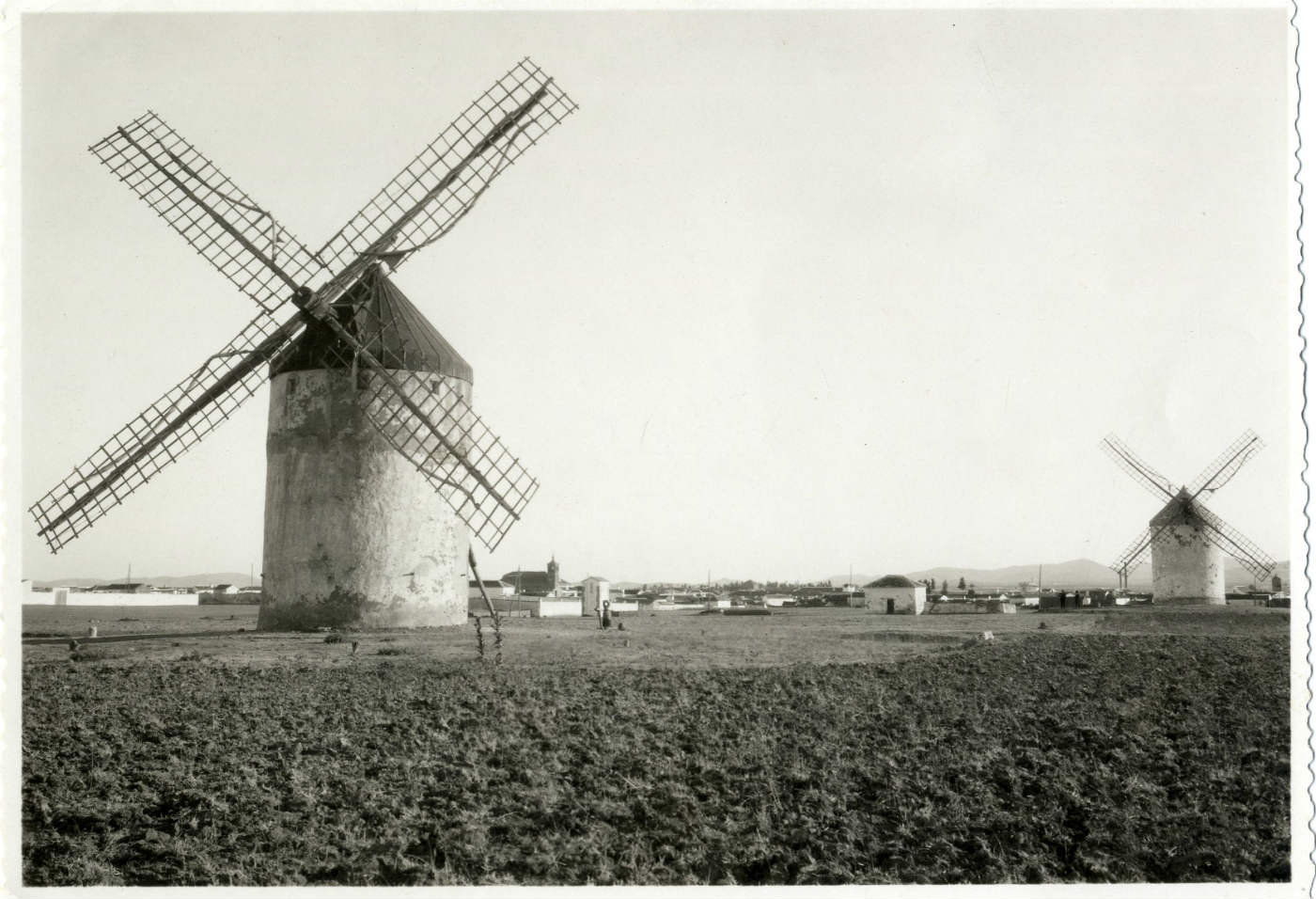 Madridejos. Molinos de viento. (P-2655)