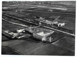 Talavera de la Reina. Granja-escuela sindical. 1950 (P-877)