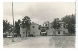 Talavera de la Reina. Centro de Inseminación. 1963 (P-915)