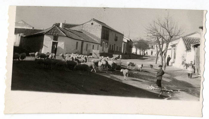 Burujón. Fuente y abrevadero. 1958 (P-50)