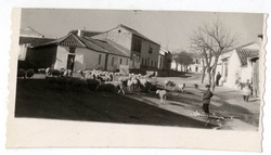 Burujón. Fuente y abrevadero. 1958 (P-50)