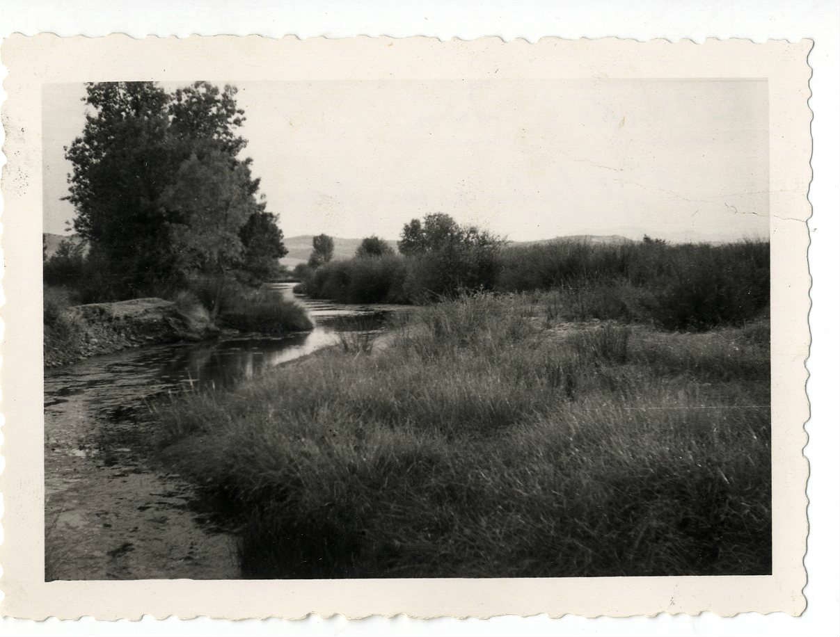Belvís de la Jara. El río Gévalo por la dehesa. 1958 (P-37)