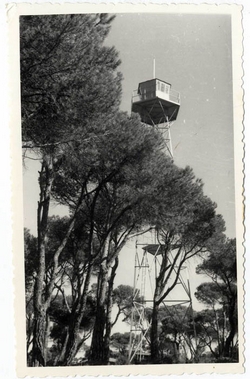 Almorox. Torre de vigilancia del pinar. 1967 (P-26)