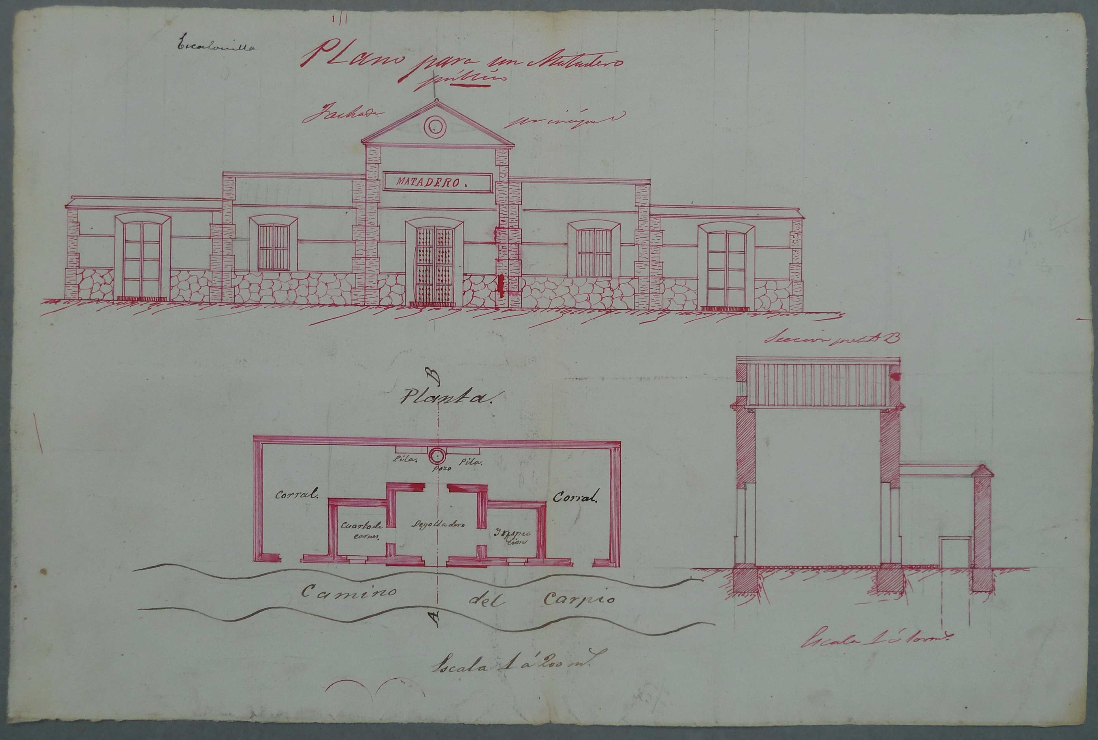 Escalonilla. Plano edificio matadero público, 1884