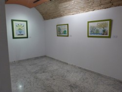 C - Salas de exposiciones planta 2