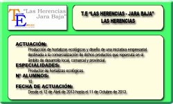 LAS HERENCIAS-JARA BAJA (LAS HERENCIAS)
