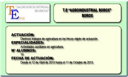 AGROINDUSTRIAL BOROX (BOROX)