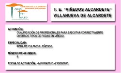 VIÑEDOS DE ALCARDETE (VILLANUEVA DE ALCARDETE)