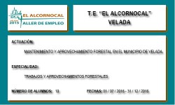 EL ALCORNOCAL (VELADA)