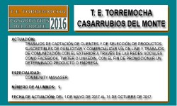 TORREMOCHA (CASARRUBIOS DEL MONTE)