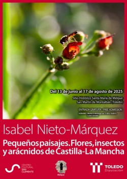 3. Isabel Nieto Márquez