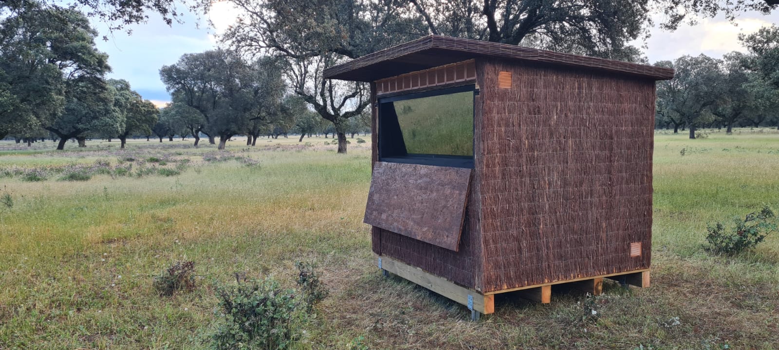 Instalación de hides para observación y fotografía de fauna