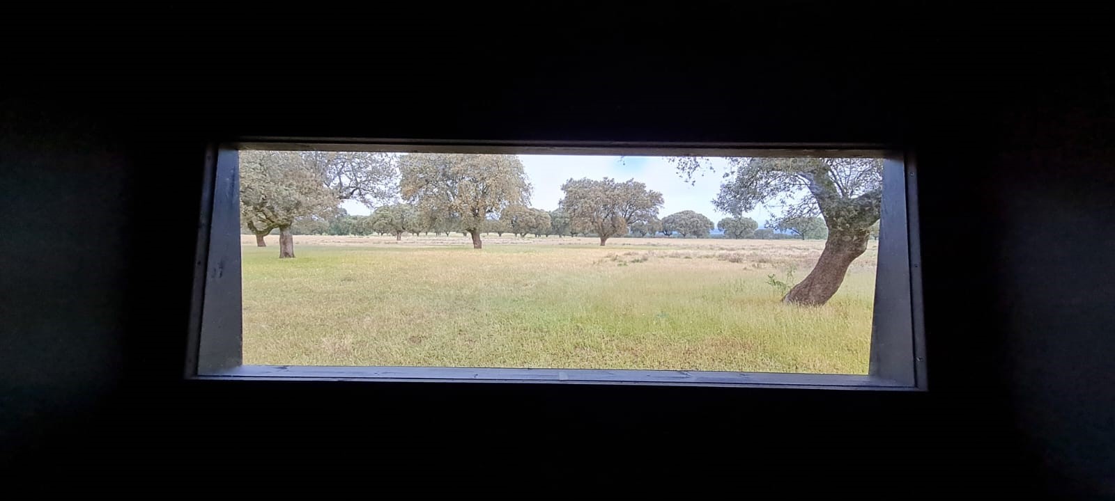 Instalación de hides para observación y fotografía de fauna
