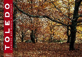 Bosque de Castaños (Sierra de San Vicente)