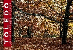 Bosque de Castaños (Sierra de San Vicente)